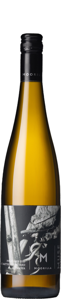Pinot gris 2025