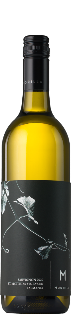 Sauvignon 2020
