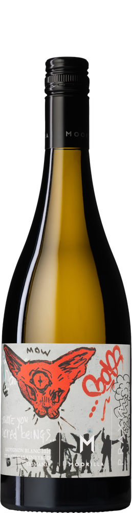 Sauvignon blanc 2025
