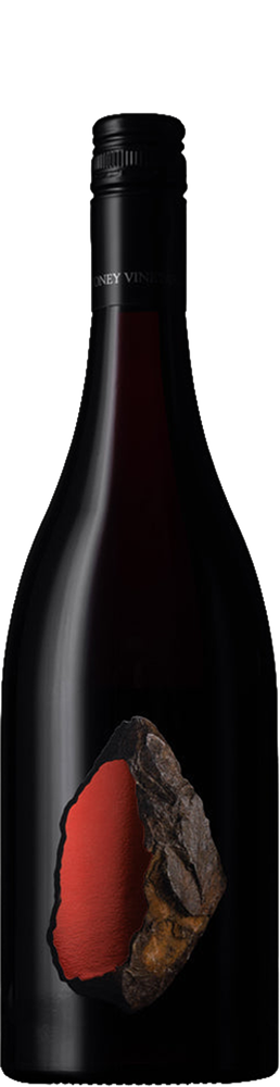 Pinot noir 2024