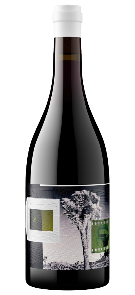 2024 8 Years in the Desert