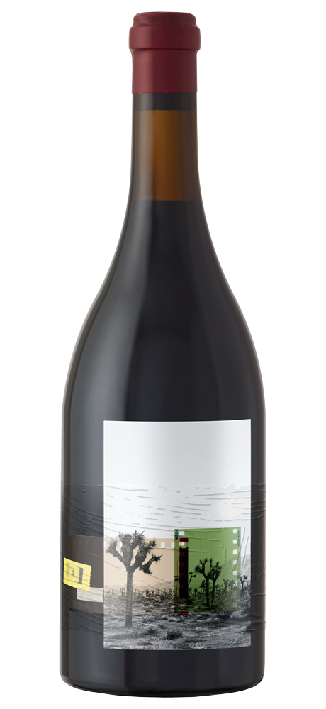 2020 8 Years in the Desert