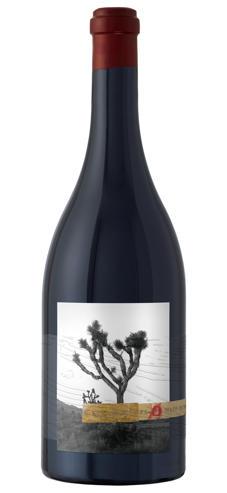 2022 8 Years in the Desert