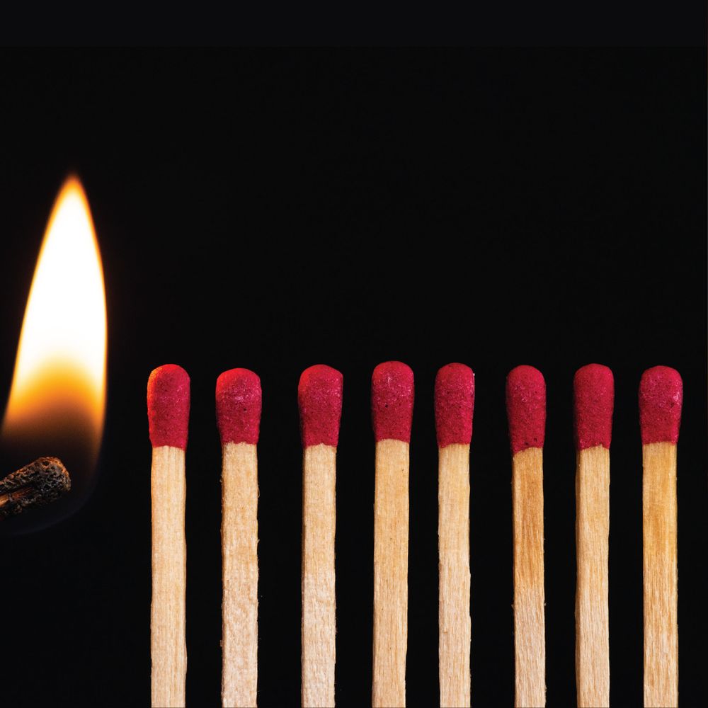 Playing with Fire Whites 6-Pack Bundle