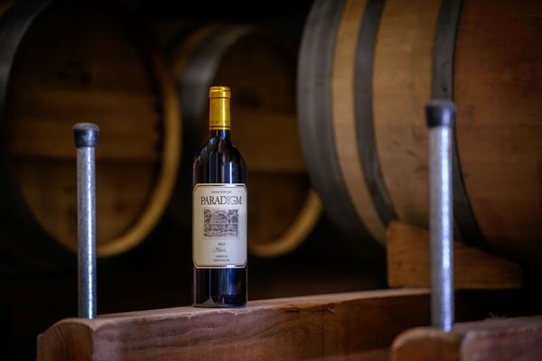 Current Releases | Paradigm Winery