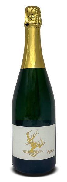 Aprés Blanc de Blanc 2020 | Paradise Springs Winery Virginia