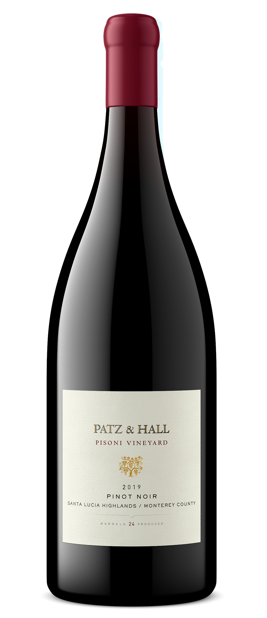 2019 Pisoni Vineyard Pinot Noir 1.5L | Patz & Hall