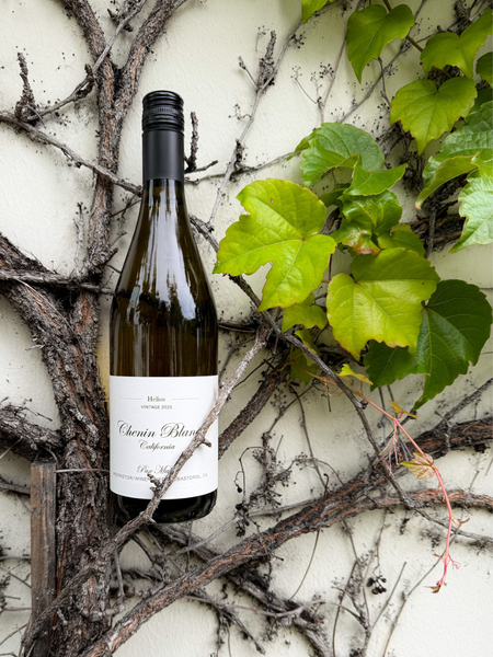 Wine Shop — Pax Winery & Tasting Room