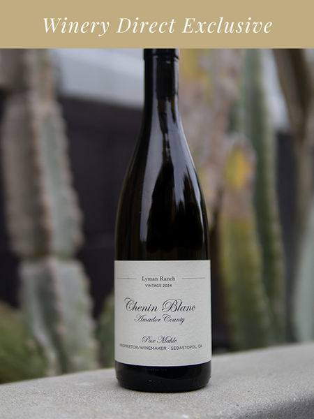 Wine Shop — Pax Winery & Tasting Room