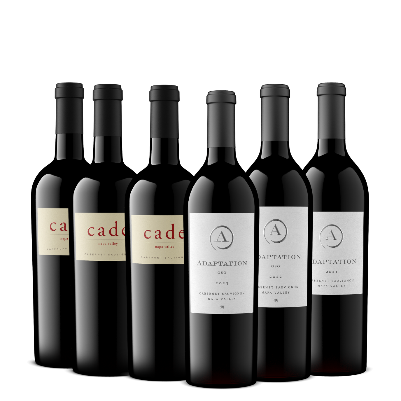 2021 Adaptation Cabernet Sauvignon, Napa Valley