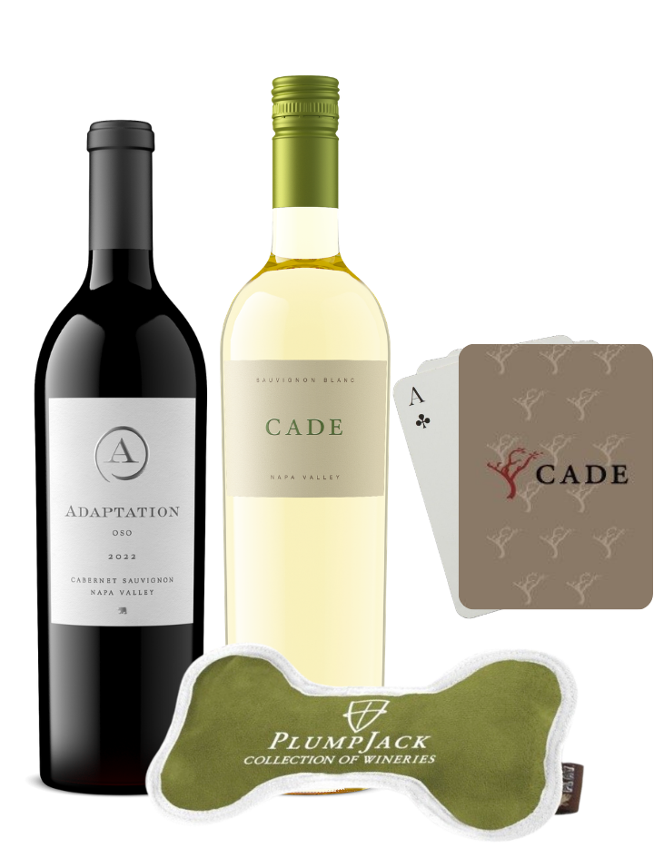 Napa Valley for the Family