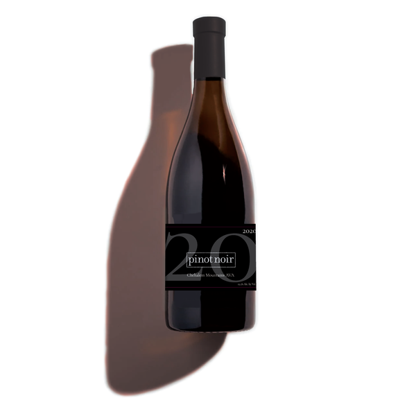 2020 Chehalem Mountain Pinot Noir 750 mL