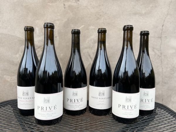 90+ Mixed Pinot Noir Vertical 6 - pack