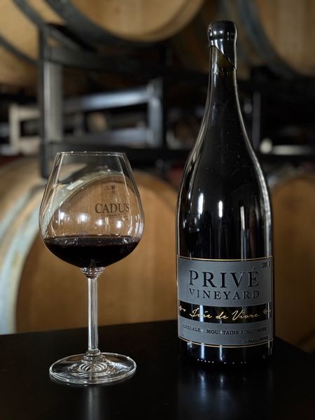 2022 Joie de Vivre 1.5L