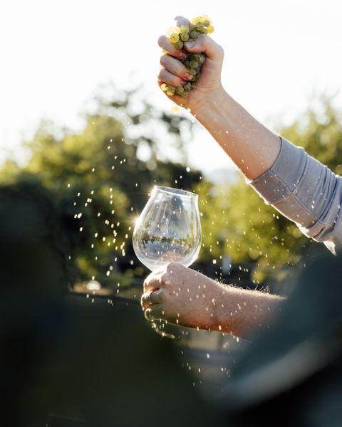 Spring Library Wines