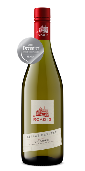 Summer Picks | Road 13 Vineyards