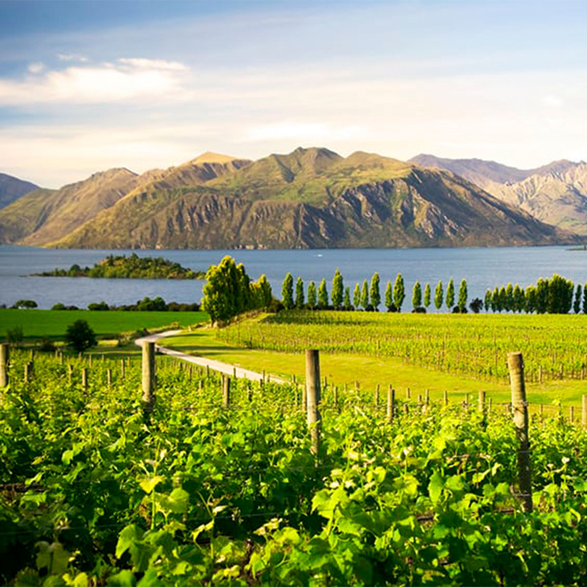 Australia and New Zealand Cruise hero