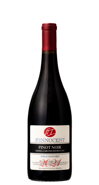 Buzzard's Eye Pinot Noir 2021 セット 2021 バザーズ アイ ピノノワール – WINE BROTHERS