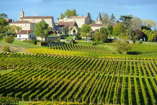 Travel to Bordeaux with Tamber Bey