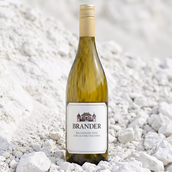 2024 Sauvignon Gris