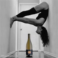 2021 Chardonnay, Pratt Vineyard, Vine Hill Road | Tongue Dancer Wines