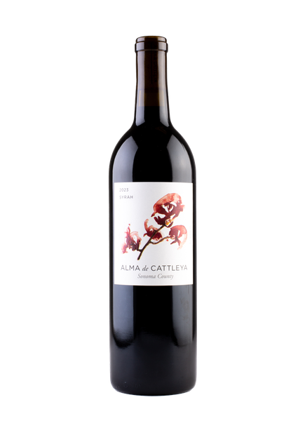 2023 Alma de Cattleya Syrah | Wines by Bibiana